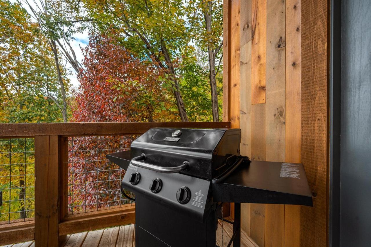 The Overlook - '21 Cabin - Gorgeous Unobstructed Views - Fire Pit Table - Gamerm - Hottub - Xbox - Lots Of Bears 개틀린버그 외부 사진