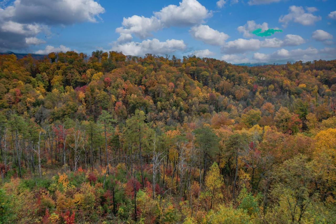 The Overlook - '21 Cabin - Gorgeous Unobstructed Views - Fire Pit Table - Gamerm - Hottub - Xbox - Lots Of Bears 개틀린버그 외부 사진